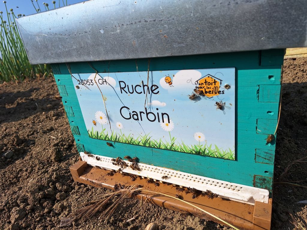 La ruche Garbin