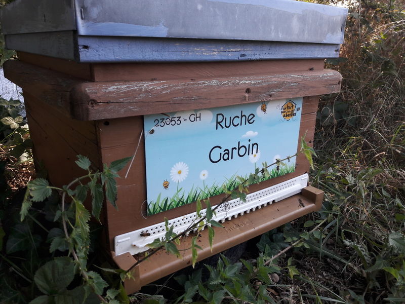 La ruche Garbin