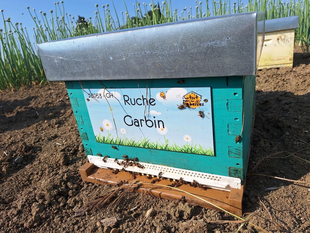 La ruche Garbin