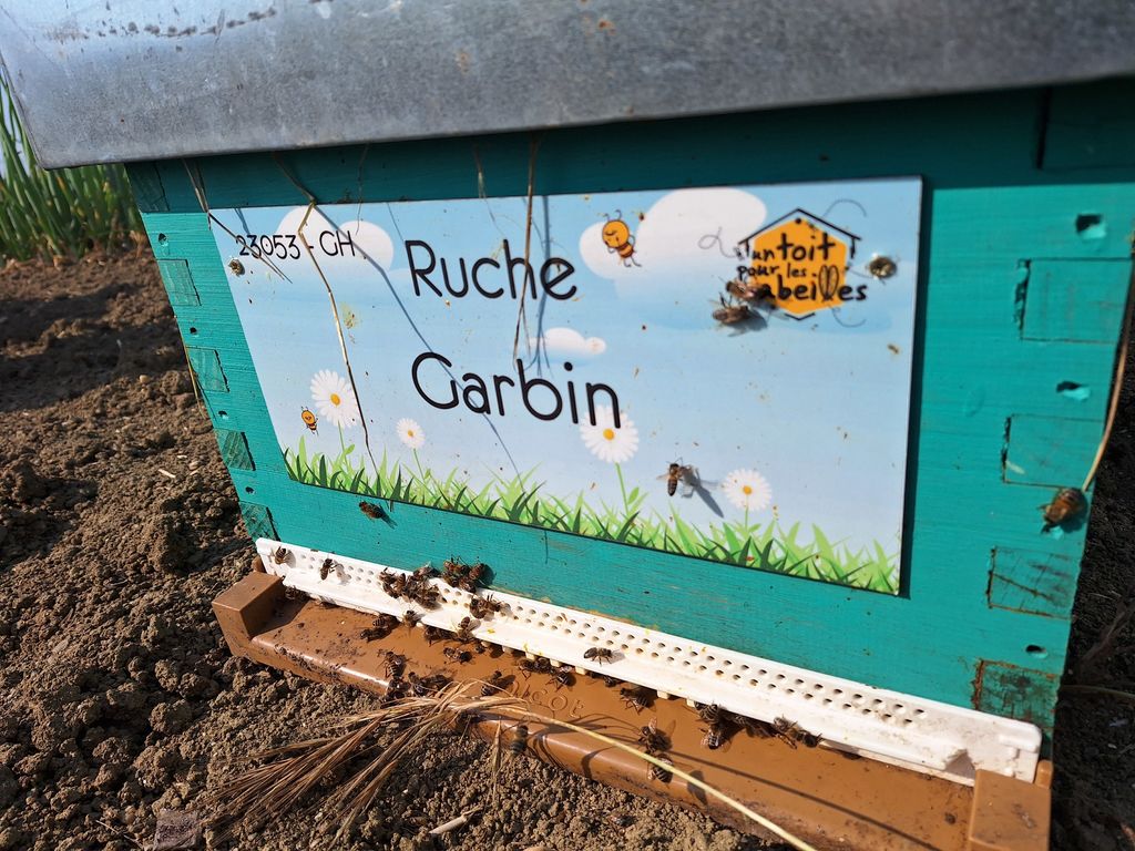 La ruche Garbin