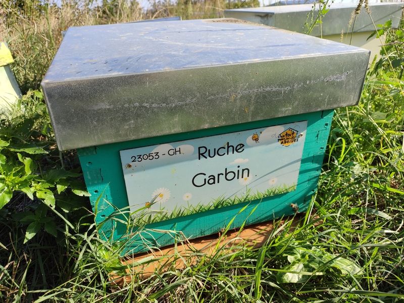 La ruche Garbin