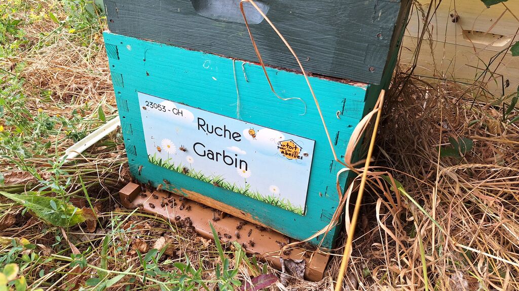 La ruche Garbin