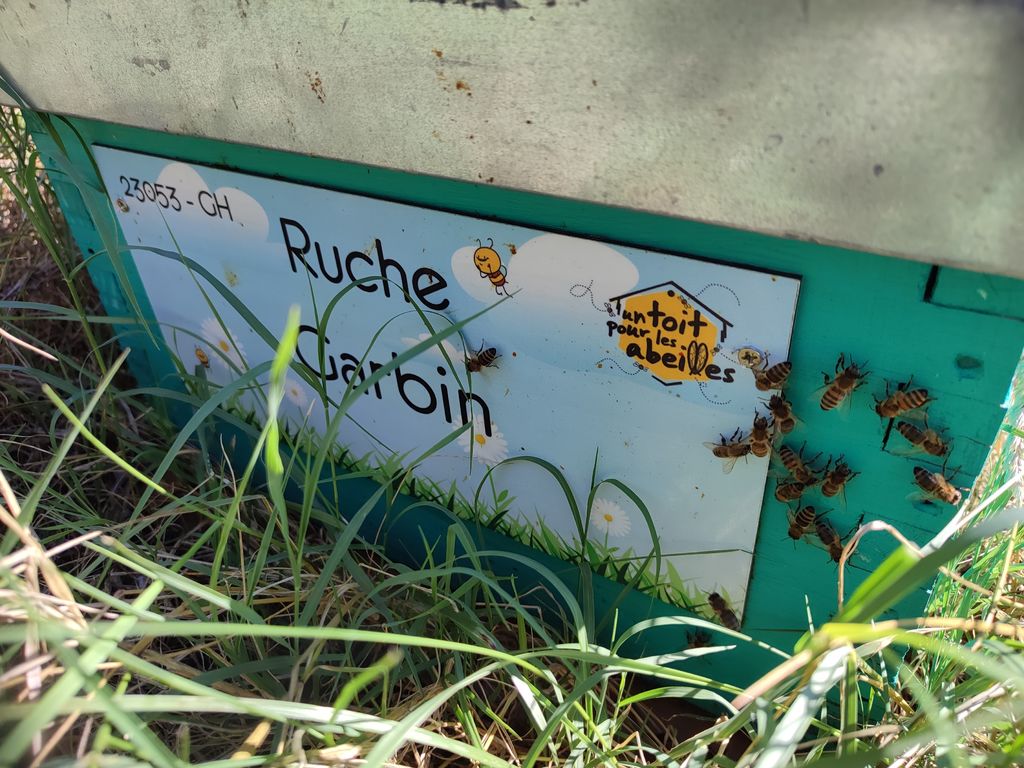 La ruche Garbin