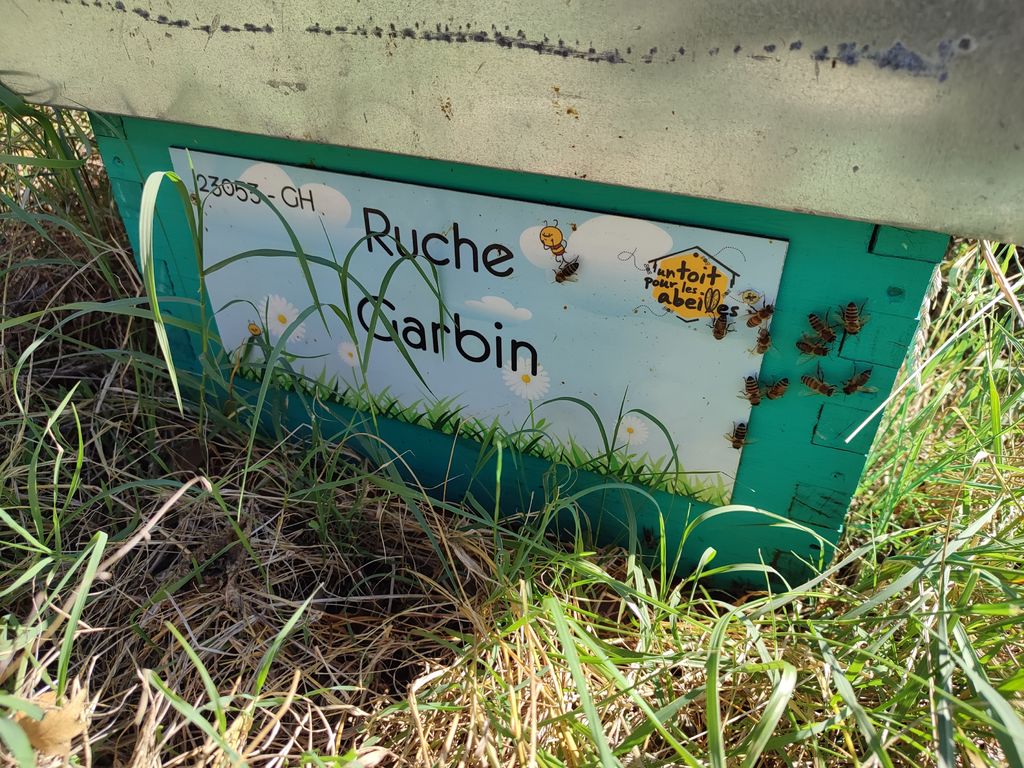 La ruche Garbin