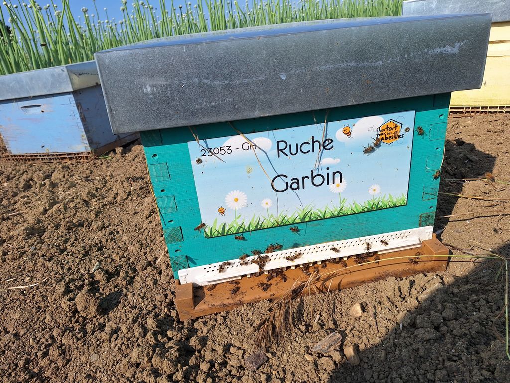 La ruche Garbin