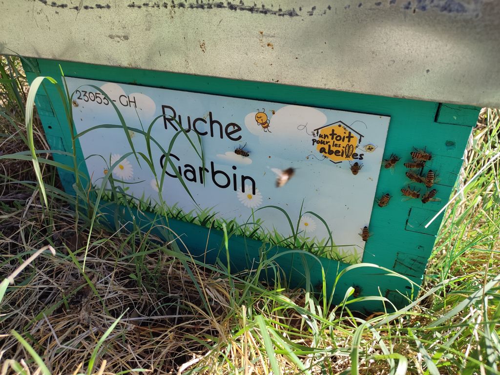 La ruche Garbin
