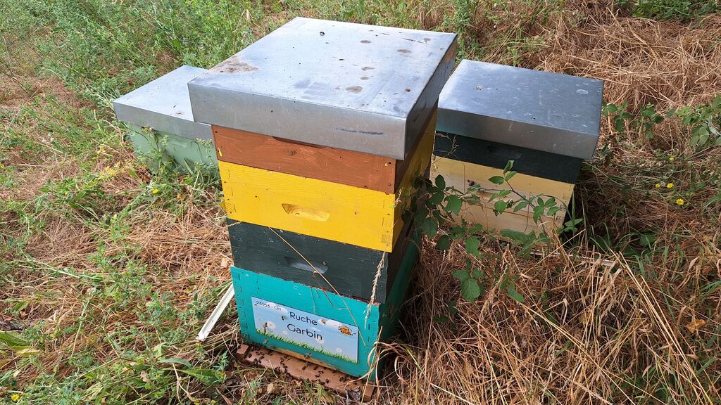 La ruche Garbin