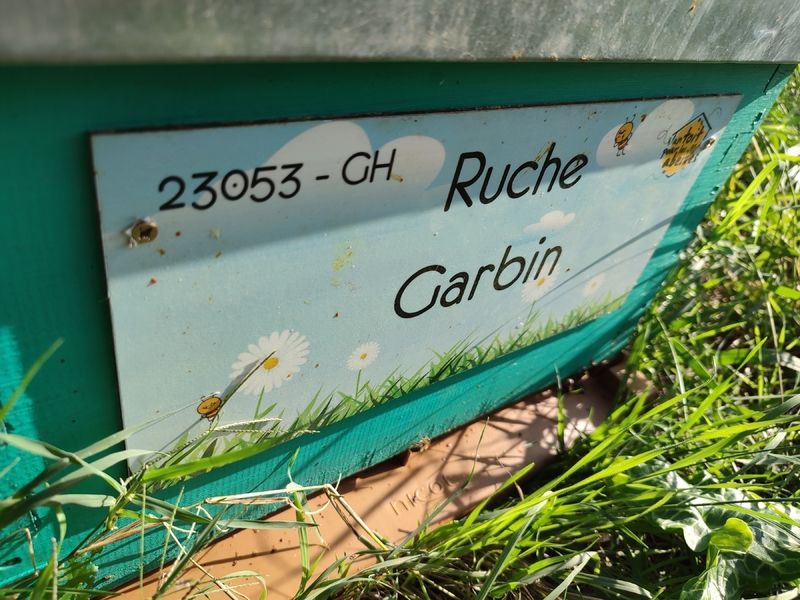 La ruche Garbin
