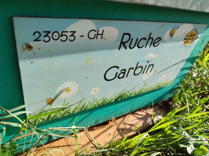La ruche Garbin