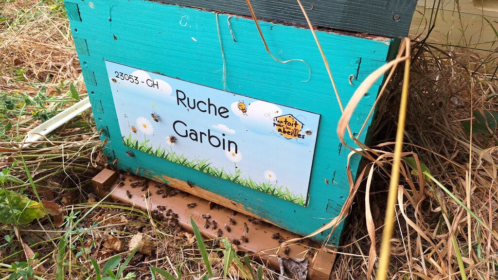 La ruche Garbin