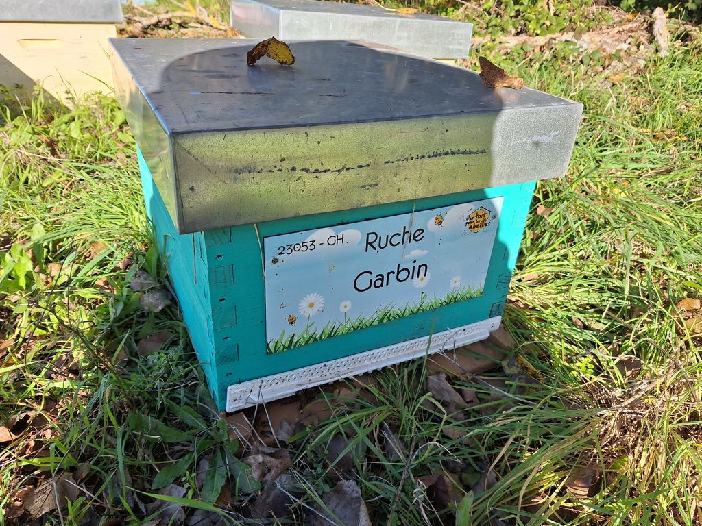 La ruche Garbin