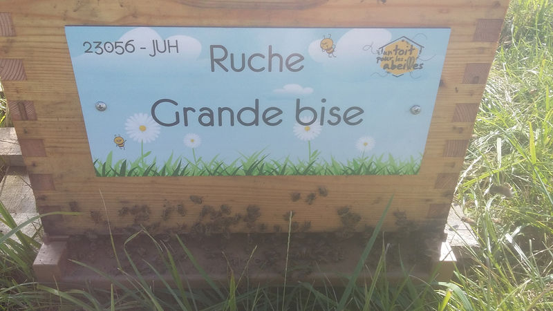 La ruche