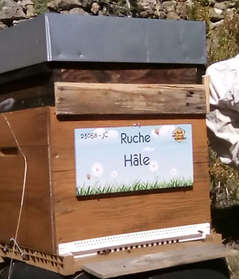 La ruche Hâle