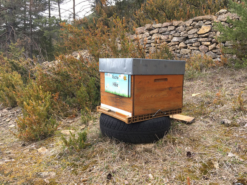 La ruche Hâle