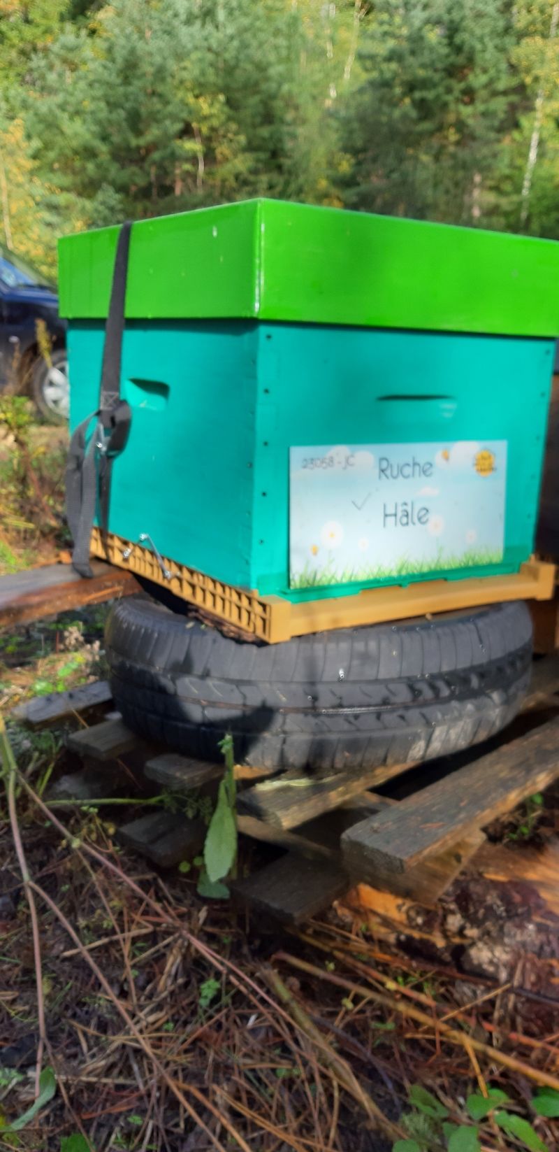 La ruche Hâle