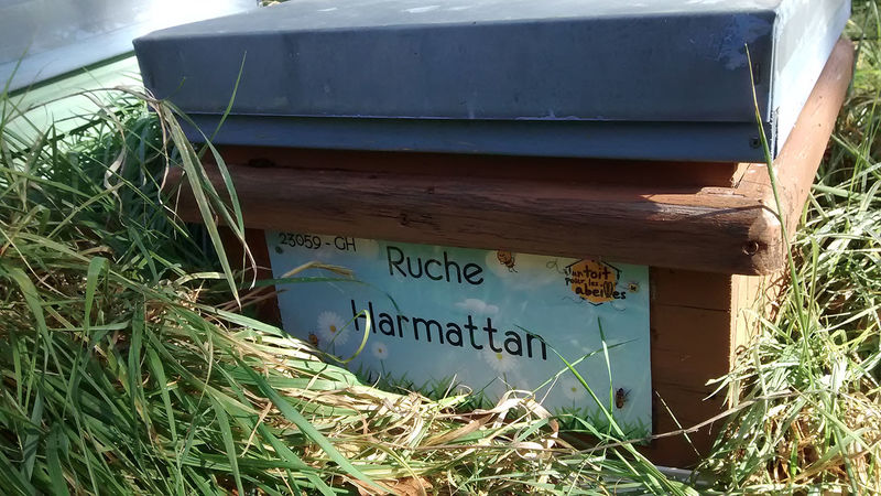 La ruche Harmattan
