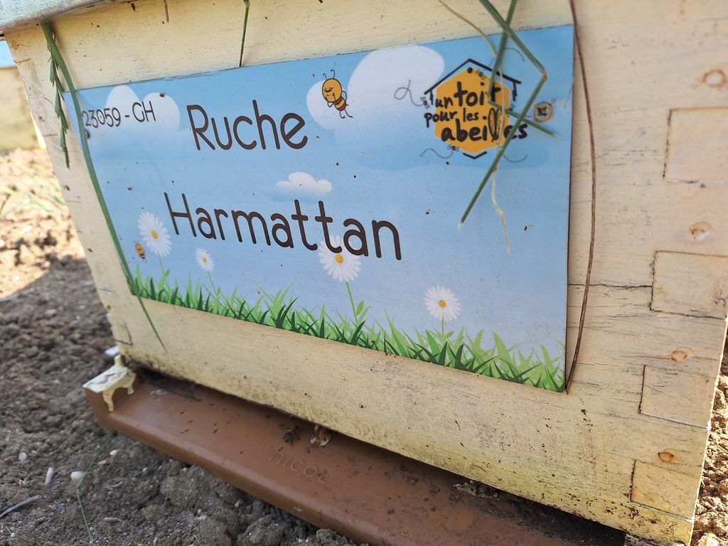 La ruche Harmattan