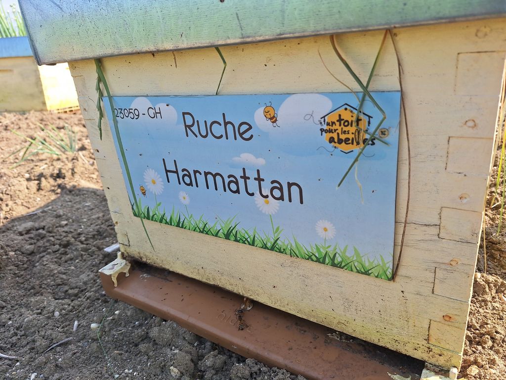 La ruche Harmattan