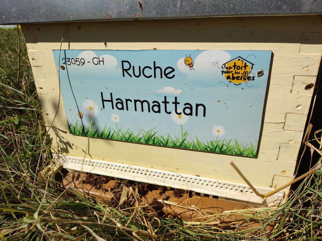 La ruche Harmattan