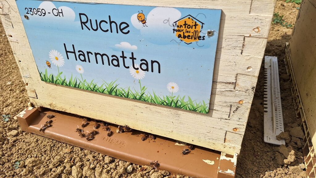 La ruche Harmattan