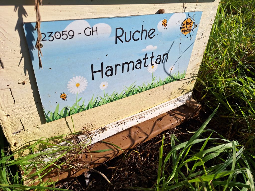 La ruche Harmattan
