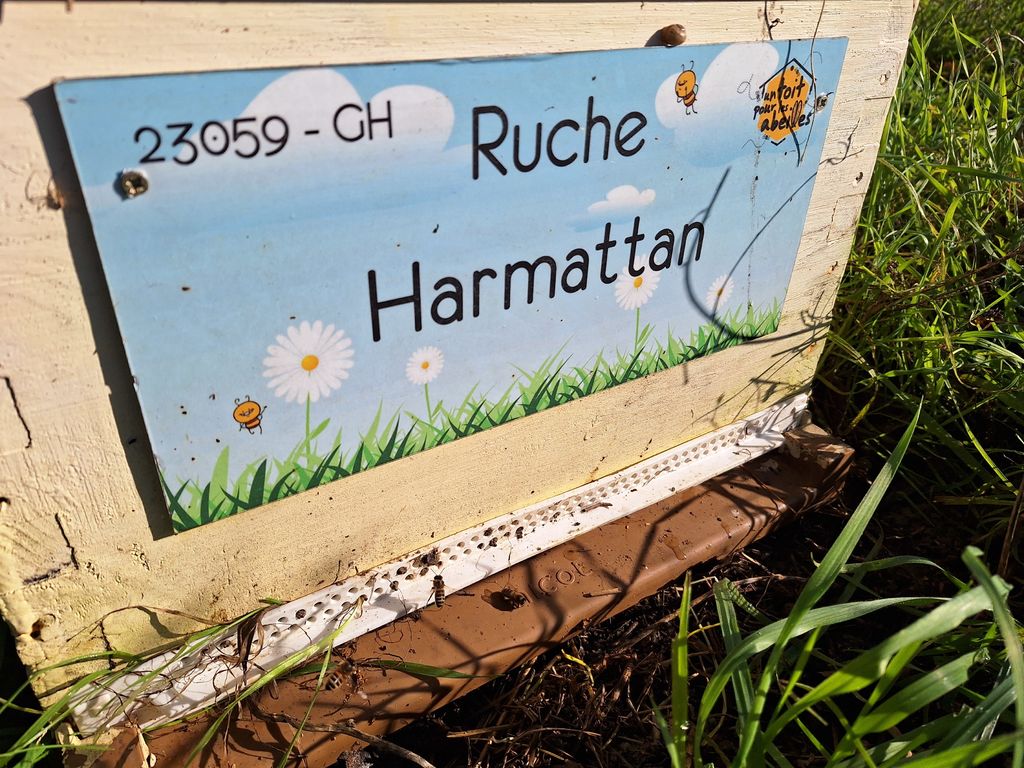 La ruche Harmattan