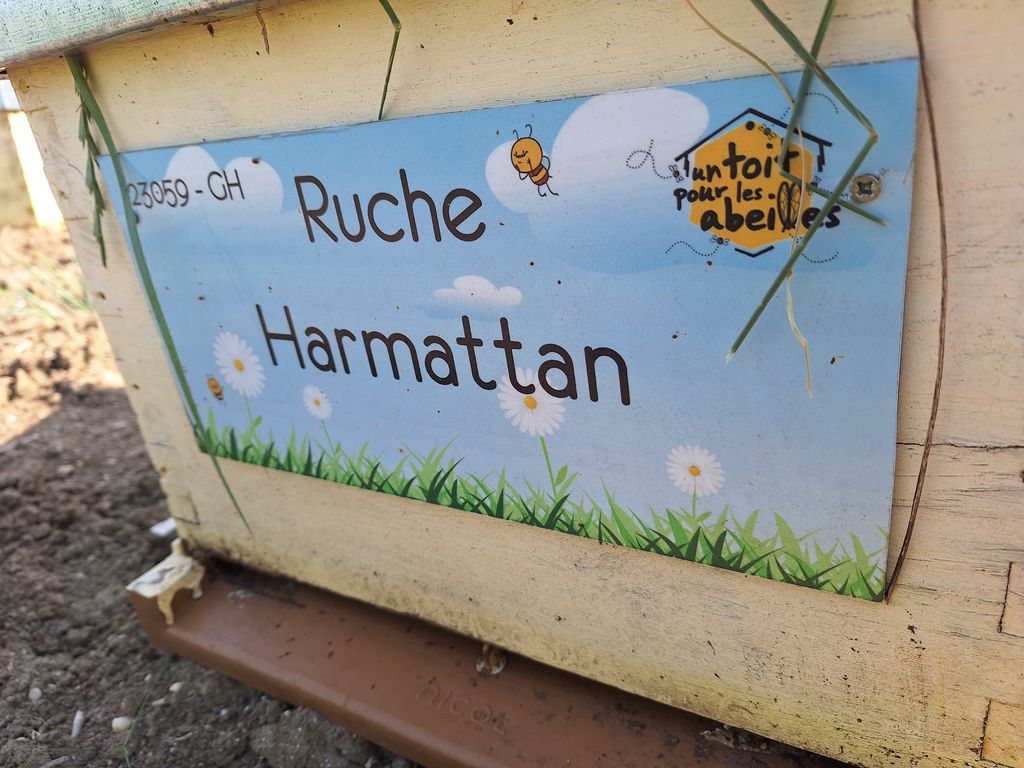 La ruche Harmattan