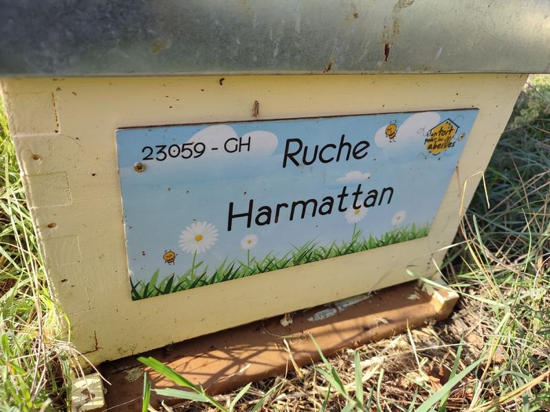 La ruche Harmattan