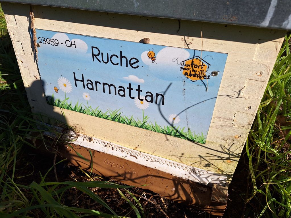 La ruche Harmattan