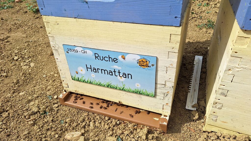 La ruche Harmattan