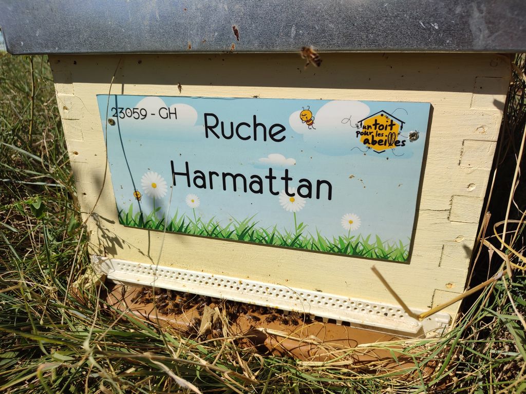 La ruche Harmattan