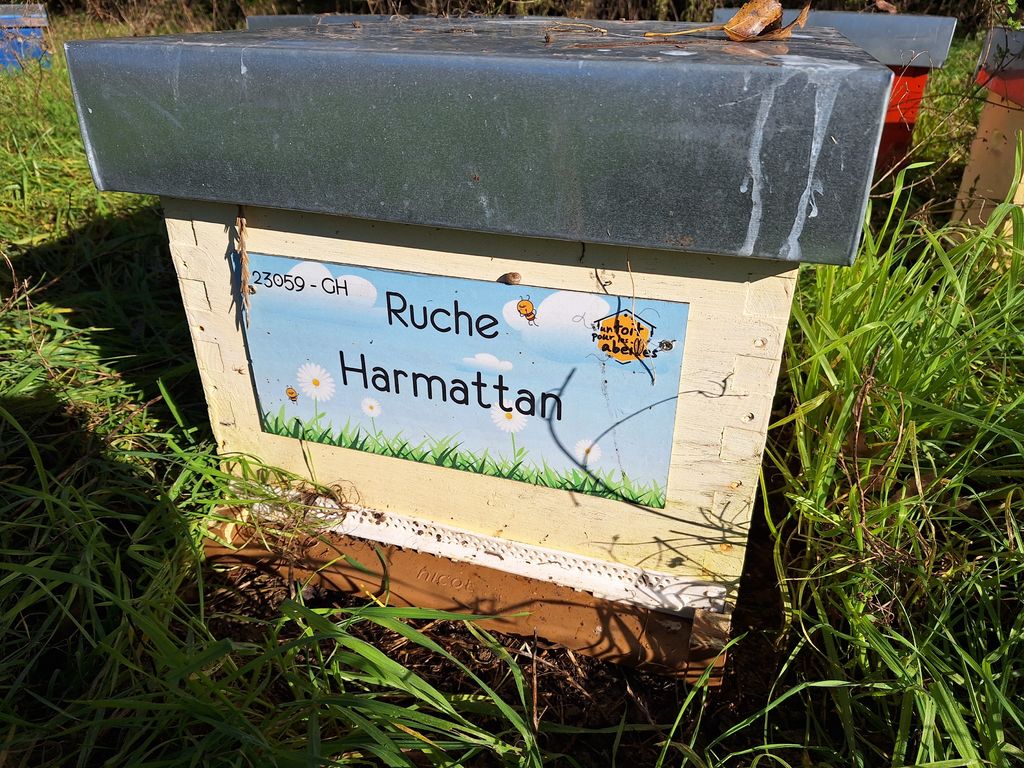 La ruche Harmattan