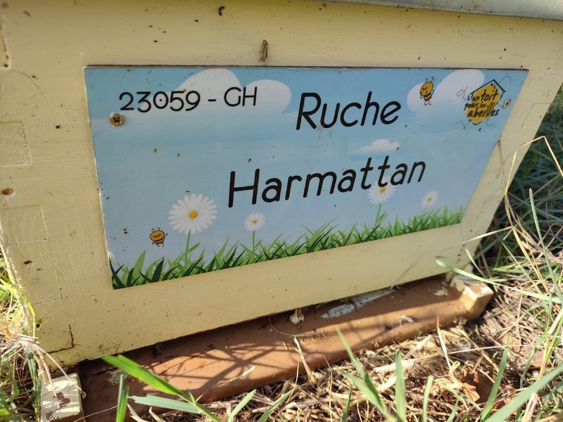 La ruche Harmattan