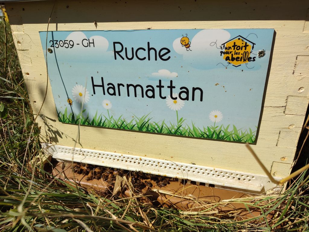 La ruche Harmattan