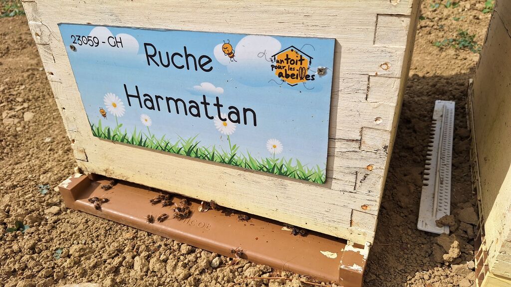 La ruche Harmattan