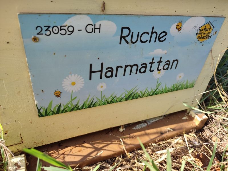 La ruche Harmattan