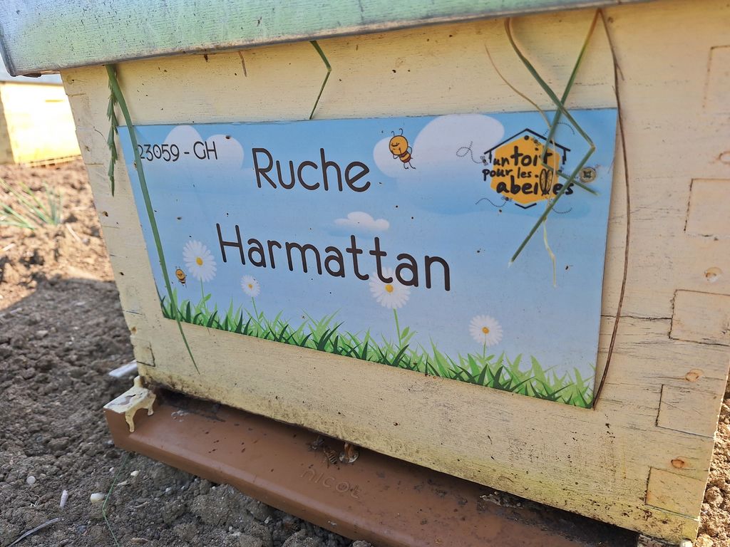La ruche Harmattan