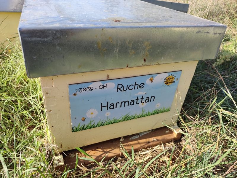 La ruche Harmattan