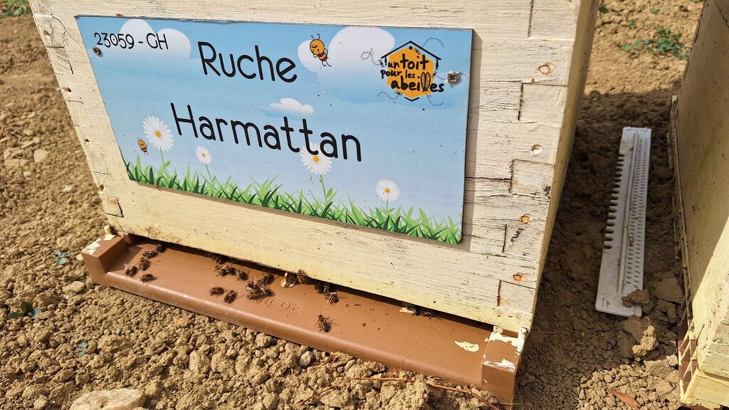 La ruche Harmattan