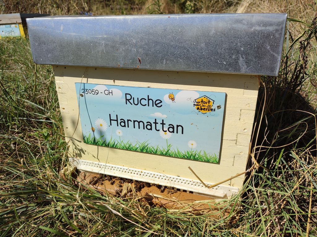 La ruche Harmattan