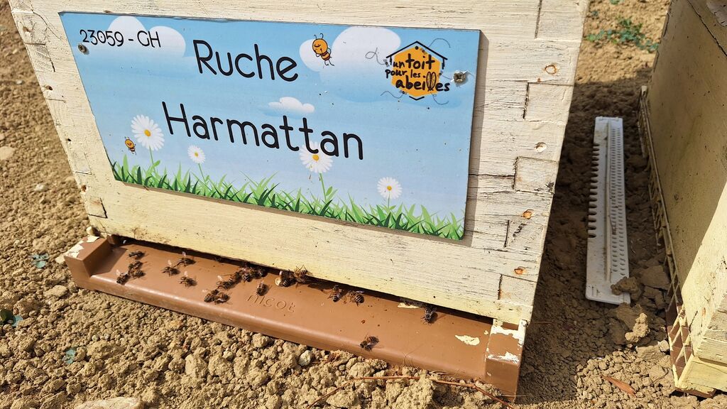 La ruche Harmattan