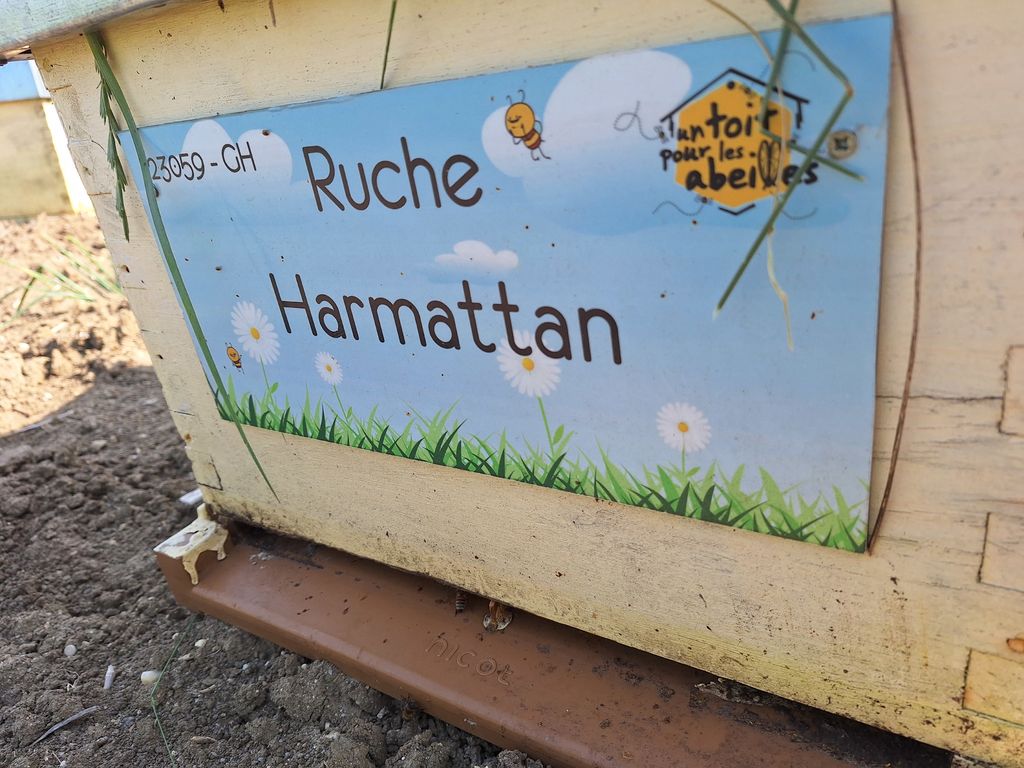 La ruche Harmattan