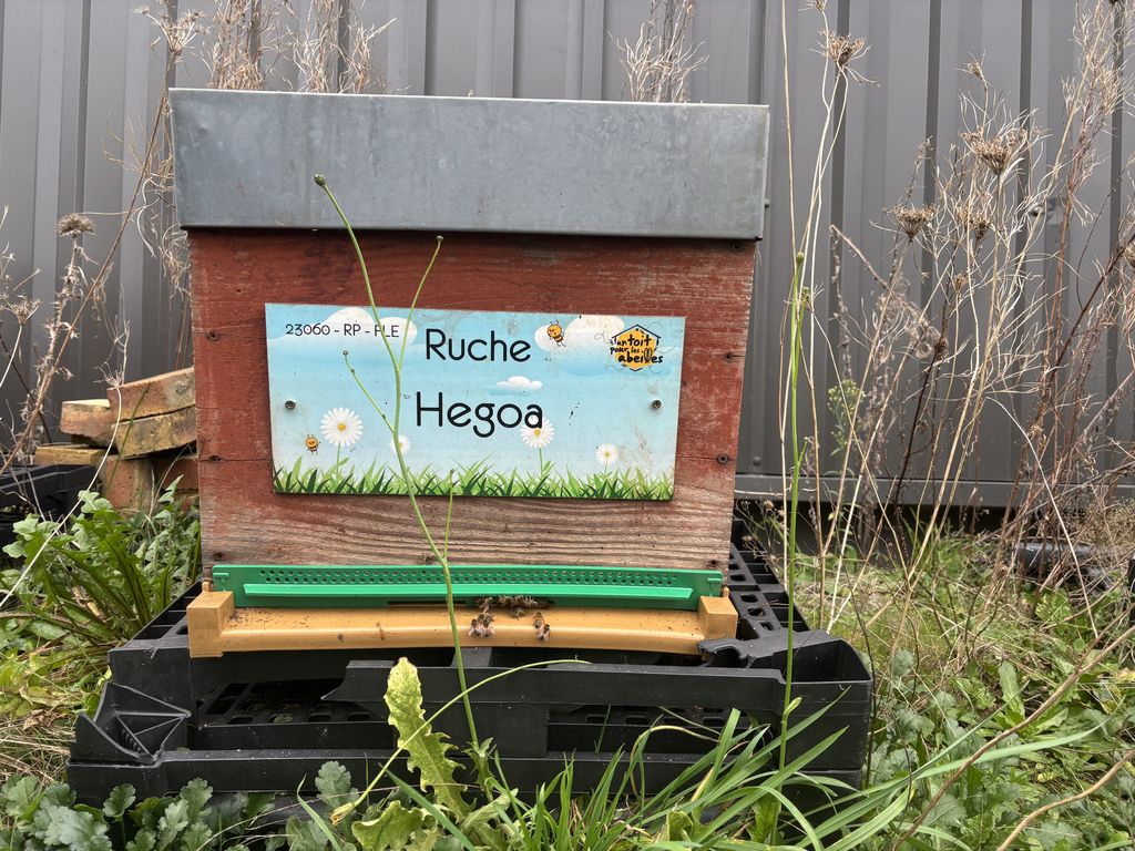 La ruche Hegoa