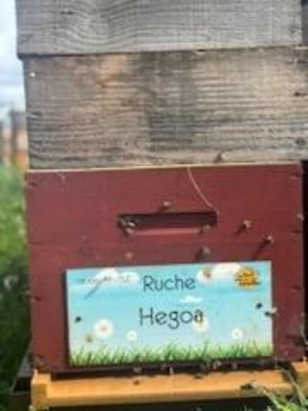 La ruche Hegoa