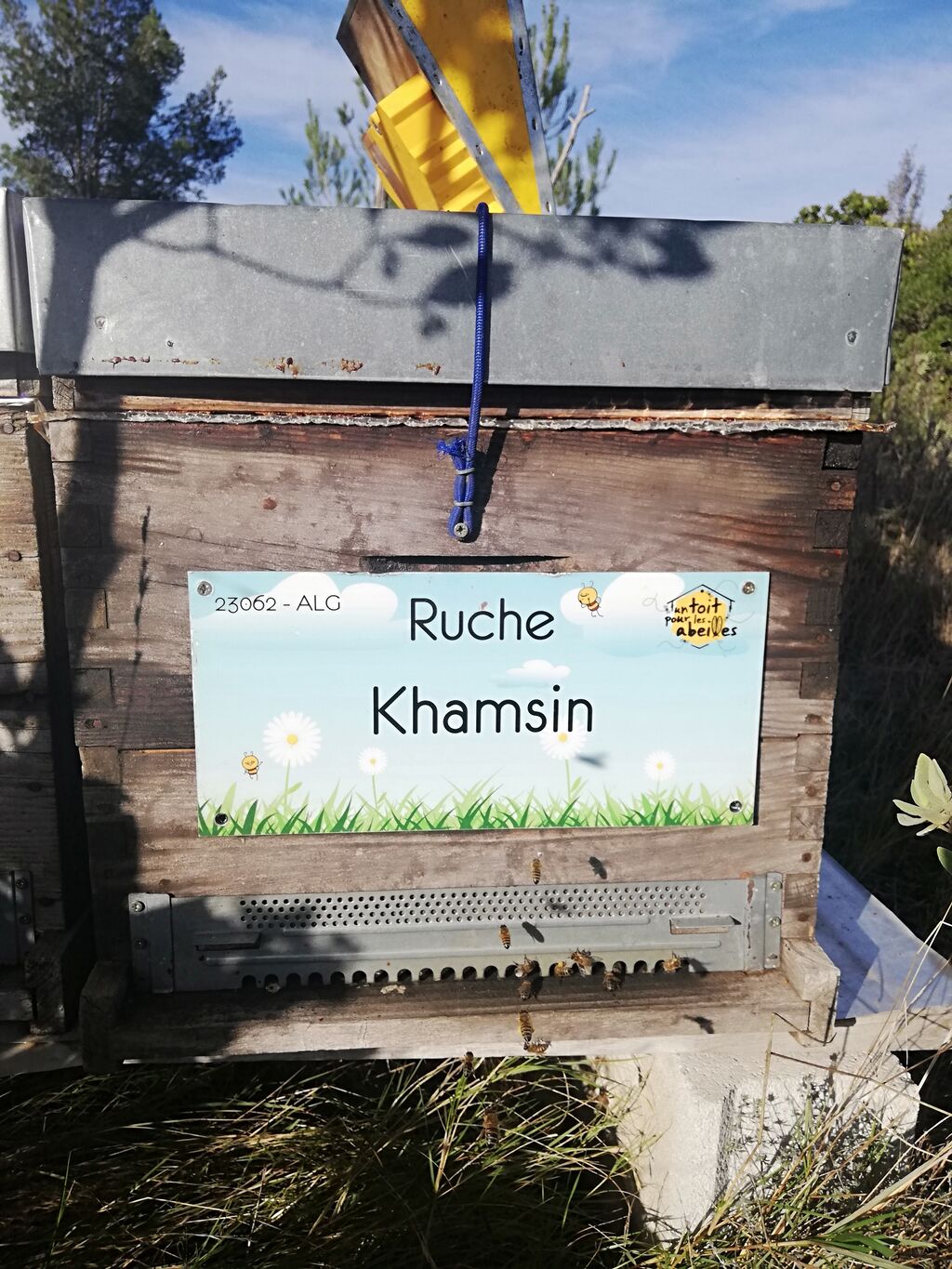 La ruche Khamsin