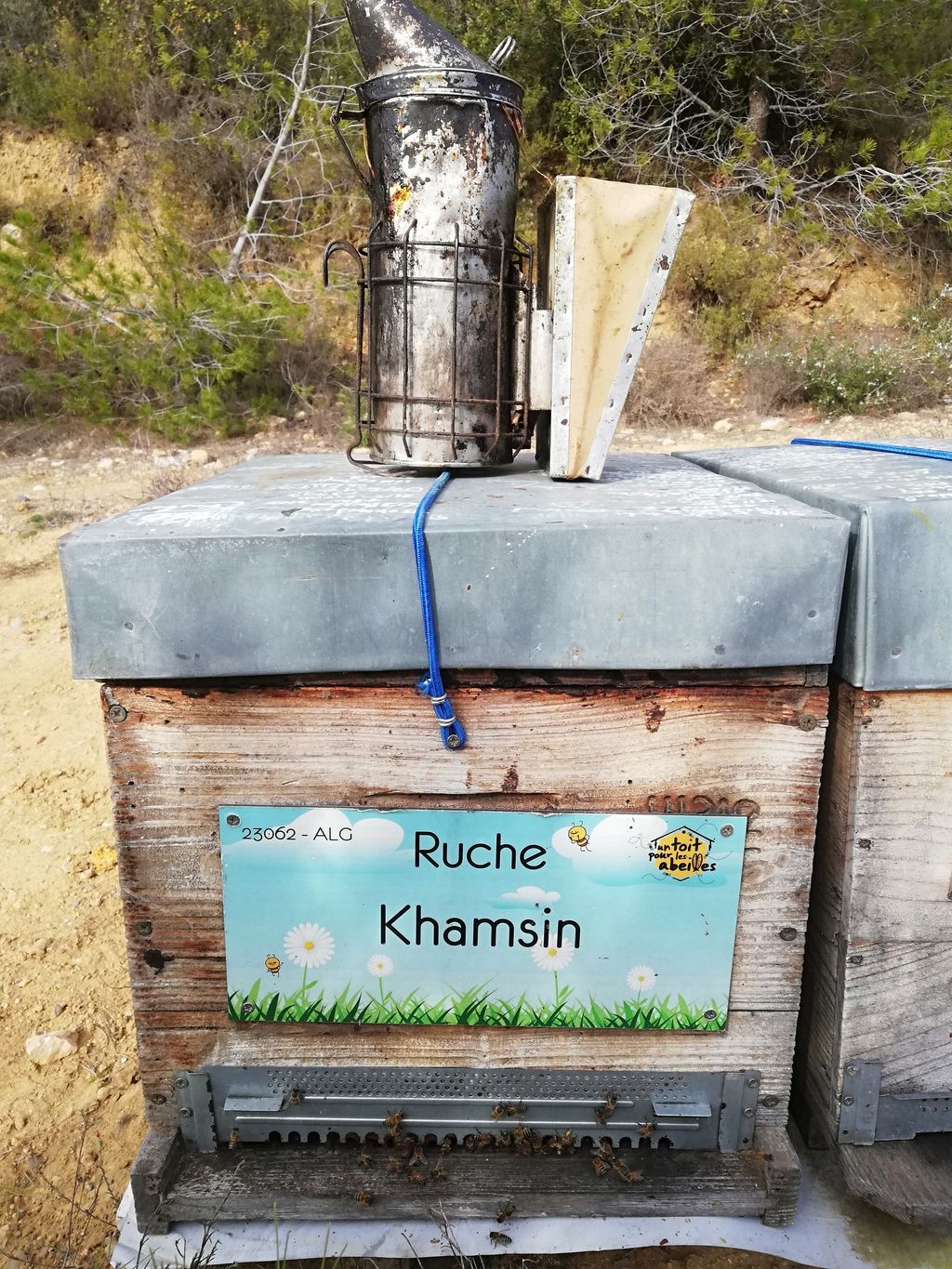 La ruche Khamsin