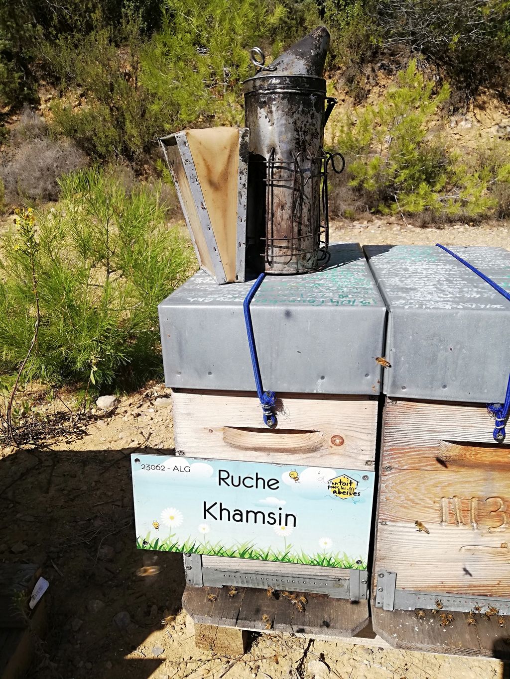 La ruche Khamsin
