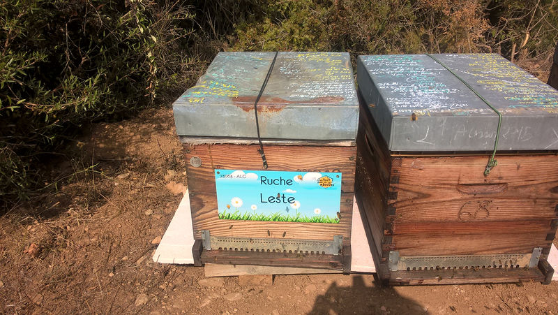 La ruche Leste