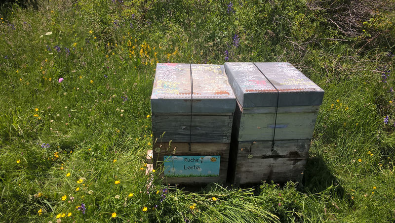 La ruche Leste