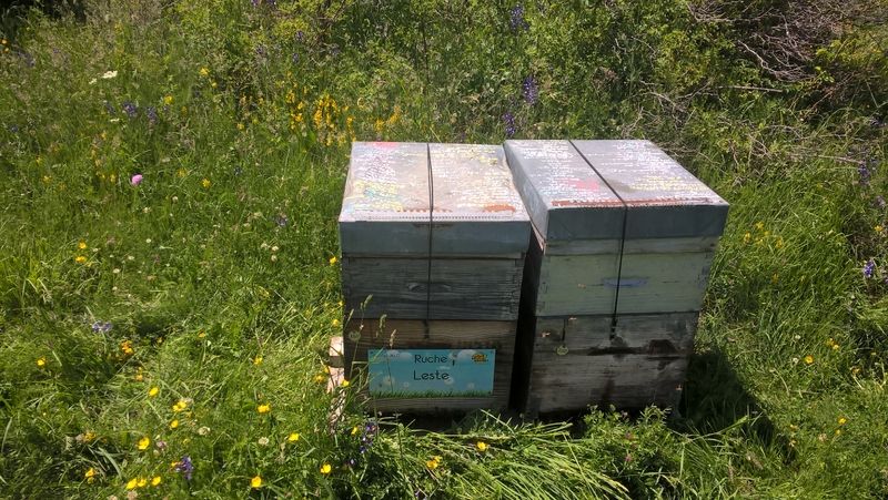 La ruche Leste